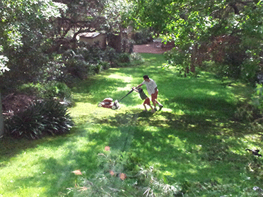 cutting grass